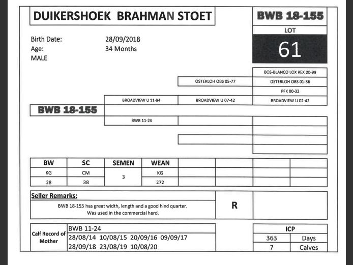 BWB 18-155