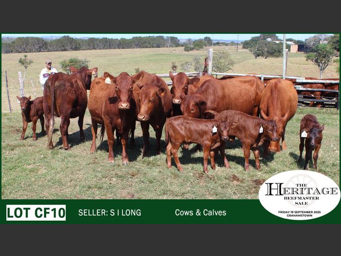 Commercial Animals | S I Long