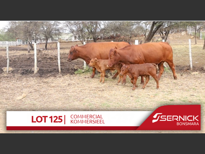 Commercial Animals