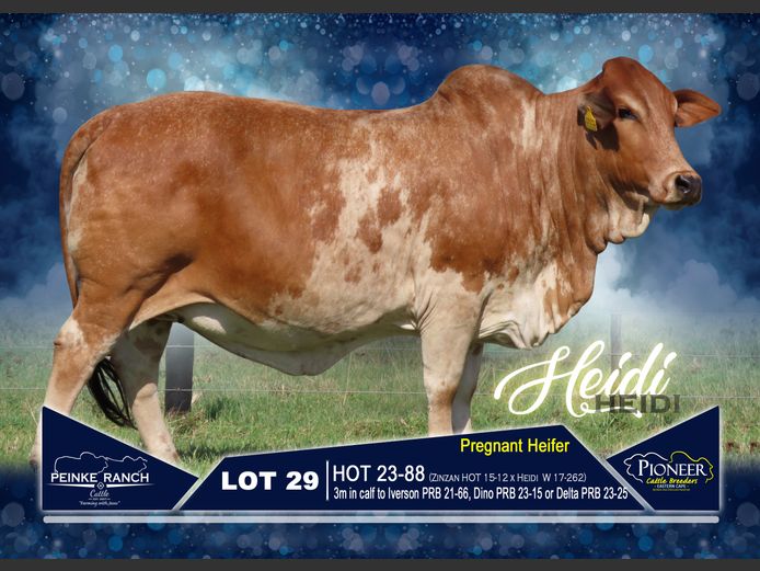 HOT 230088 | PEINKE RANCH