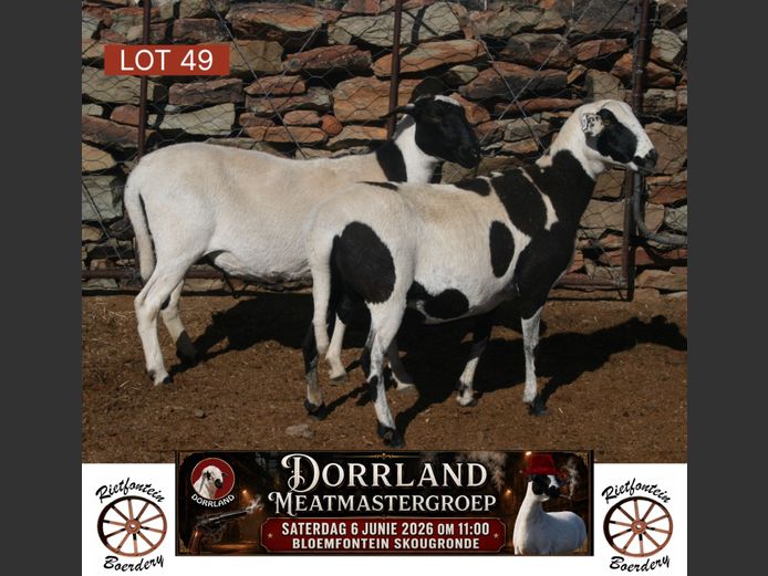 RFB22-100 | Rietfontein Boerdery