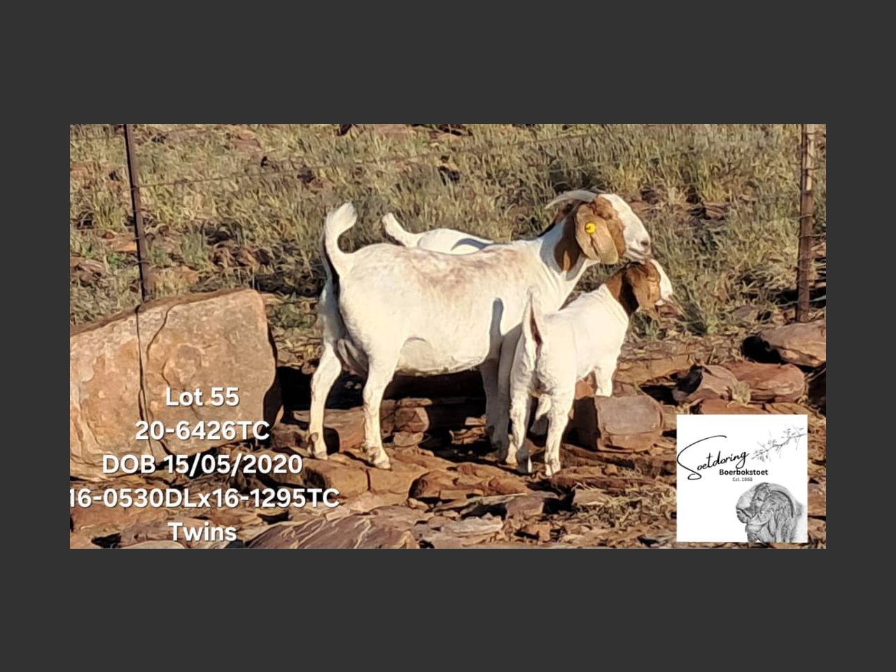images