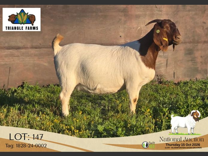 1828-25-0002 | Triangle Farms