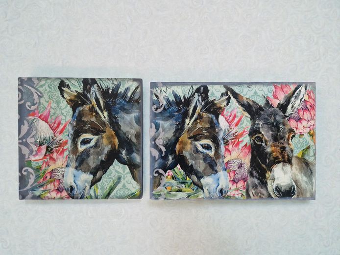 "Gentle Spirits of the Veld" Donkey Art Duo