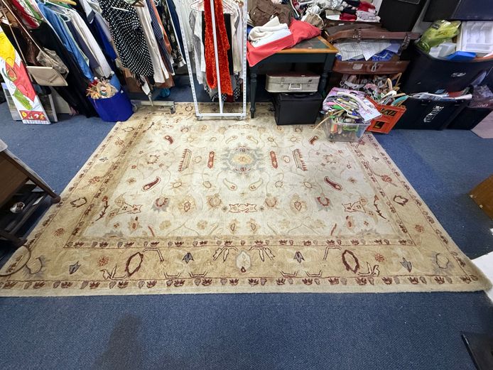 Beige Area Carpet 
