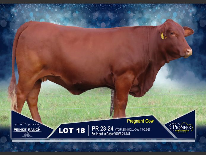 PR 230024 | PEINKE RANCH