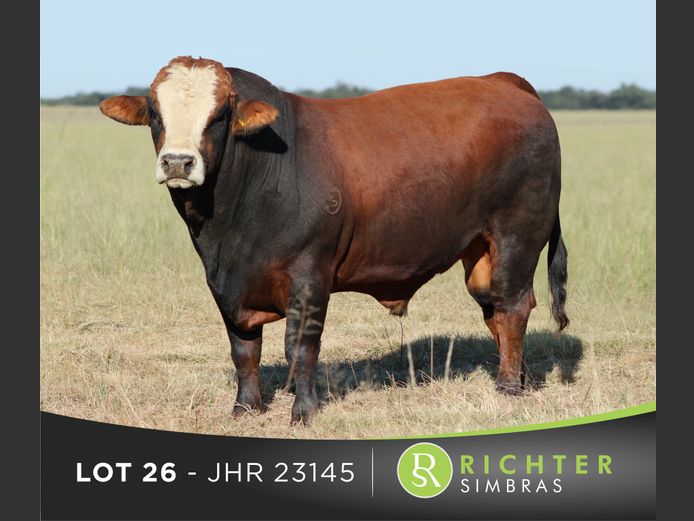 JHR23145