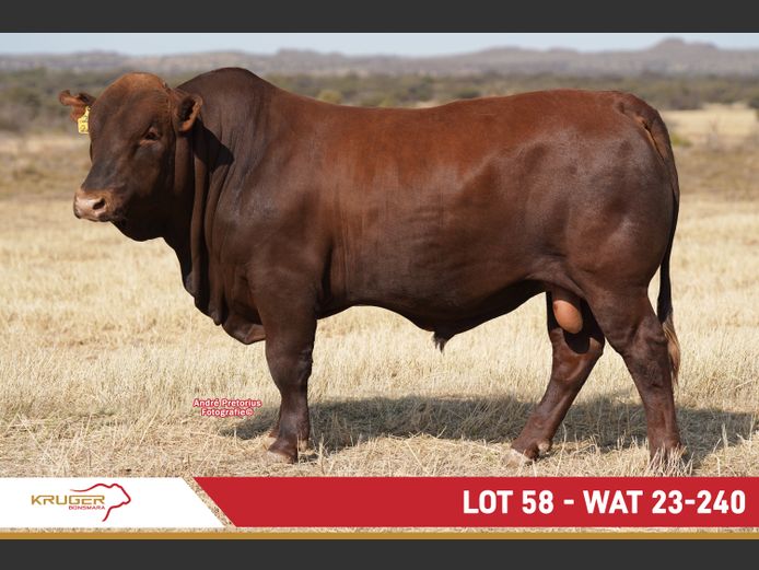 WAT230240 | KRUGER BOERDERY