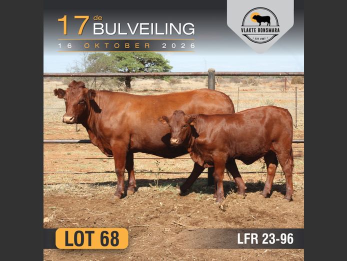 LFR230096 | LEON RIEKERT & SEUNS