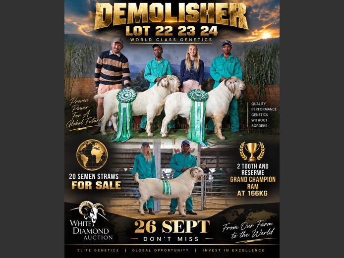 SEMEN LOT | Demolisher | Maize Valley