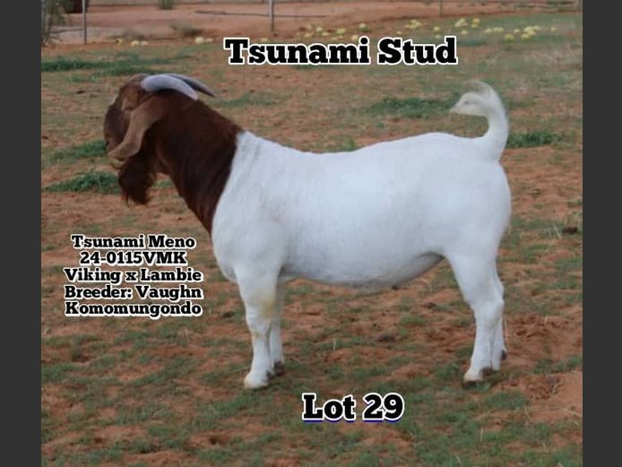 24-0115VMK | VAUGHN KOMOMUNGONDO