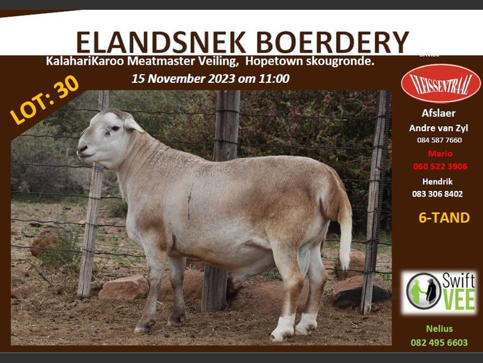 RSL GR122 | ELANDSNEK BOERDERY