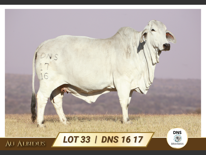 DNS1617 | JES-C BOERDERY (PTY) LTD