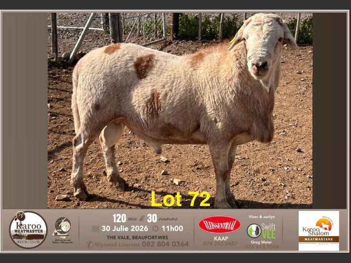24.61 | Jacques Strydom - Karoo Shalom Meatmasters