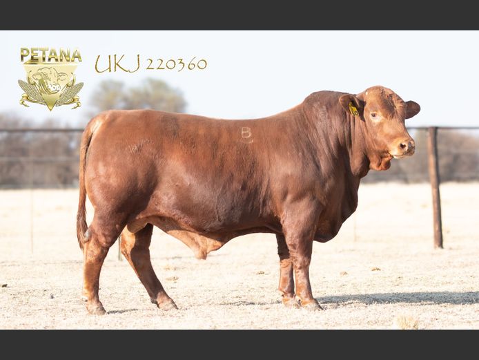 UKJ 220360