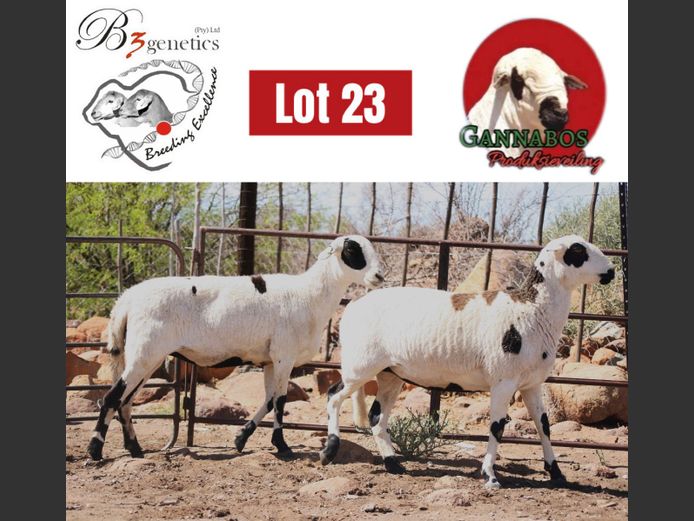 BBB24-0344 | B3genetics Pty Ltd