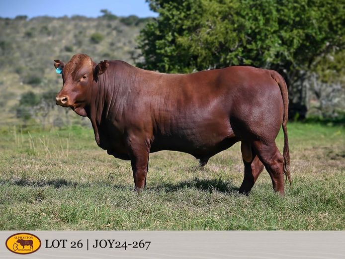 JOY240267 | FETTING LIVESTOCK TRUST