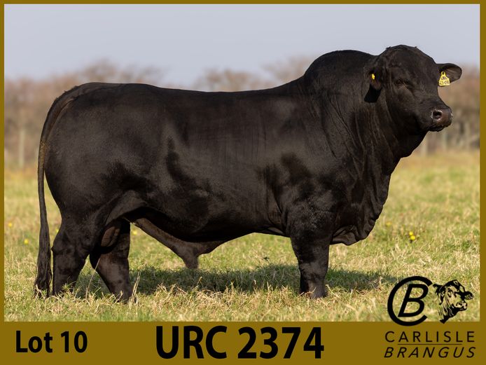 URC23074 | EGGMARK (PROPRIETARY) LIMITED
