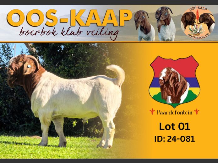 24-081 | Paardefontein BBS