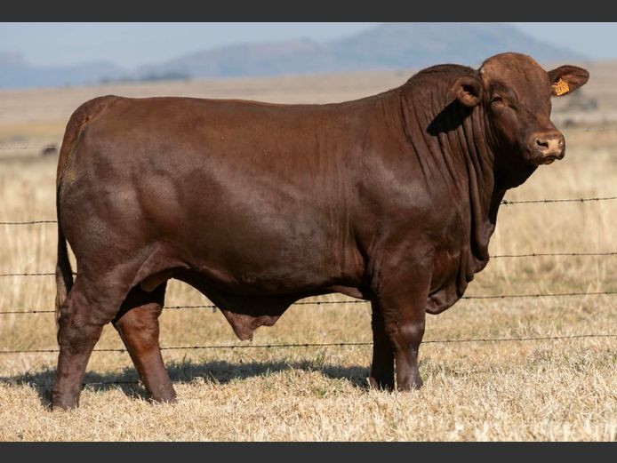 SP 230083 HH | PINEKLOOF TRUST