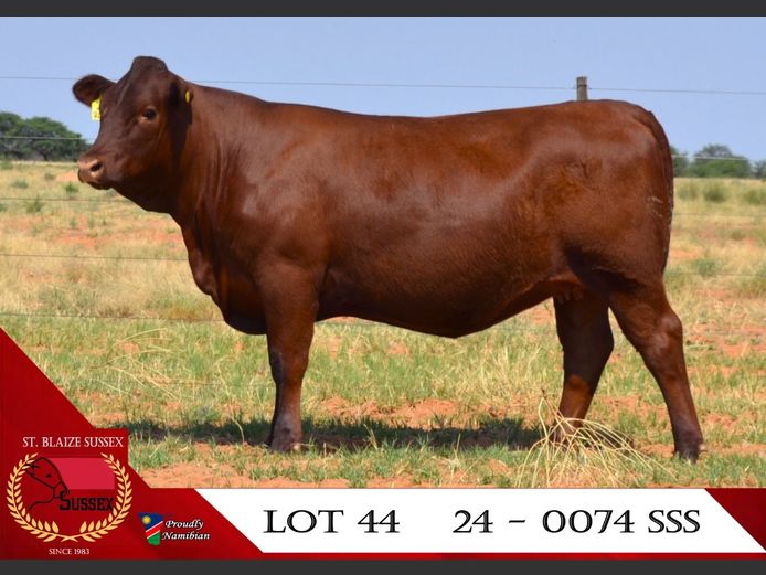 24-0074SSS | ST. BLAIZE SUSSEX