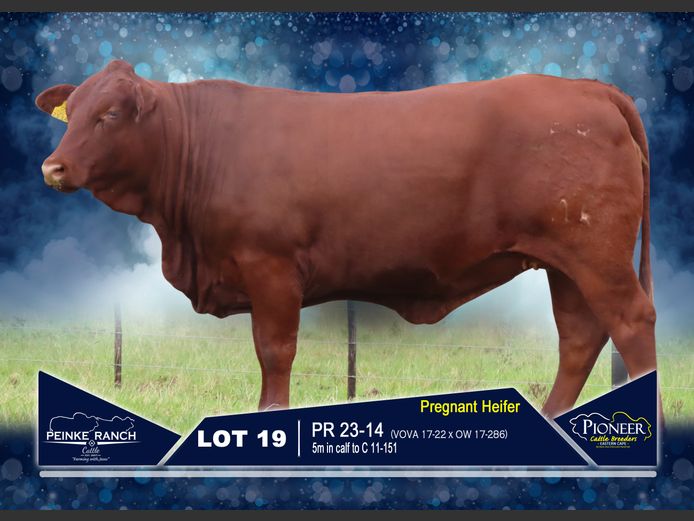 PR 230014 | PEINKE RANCH