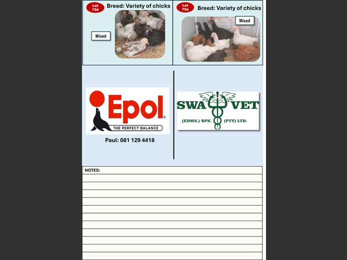 VARIETY OF CHICKS | ANNUAL MYTILUS AND ELOFF