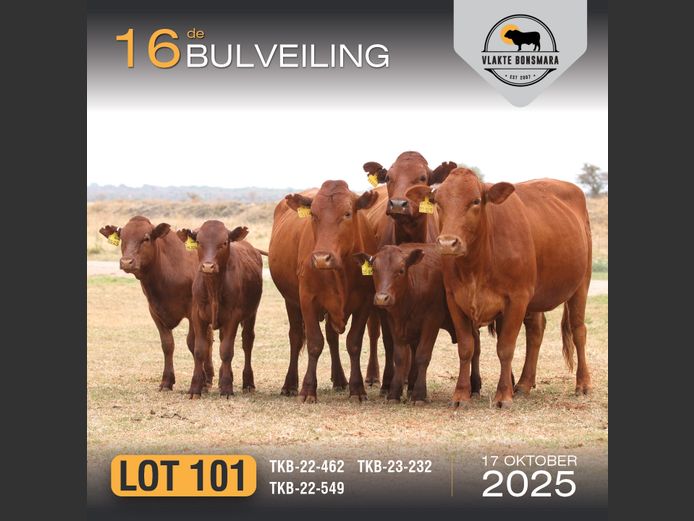Commercial Animals | TKB BONSMARAS