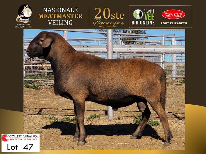 CC 250004 | COLLETT FARMING CC