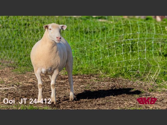 JT240412 | REMKUIL BOERDERY (EDMS) BPK