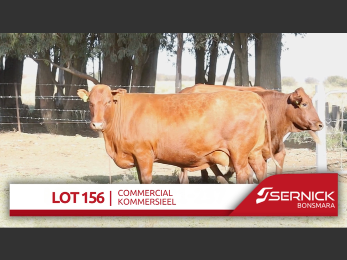 Commercial Animals