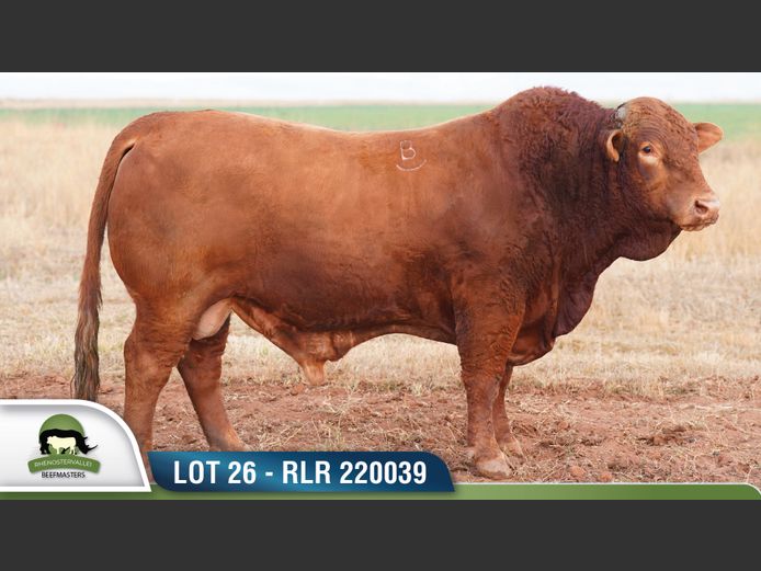 RLR 220039 | RHENOSTERVALLEI