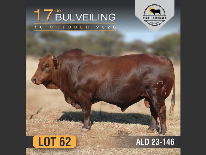 ALD230146 | ALDIGO BONSMARAS