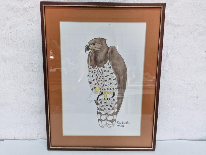 Framed Bird Artwork Print By Bruce Robertson
