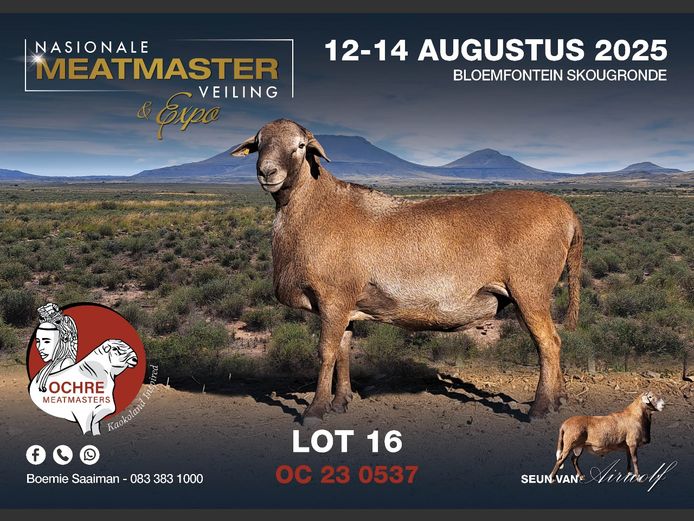 OC 23 0537 | AANGETEKEN | Boemie Saaiman - Ochre Meatmasters