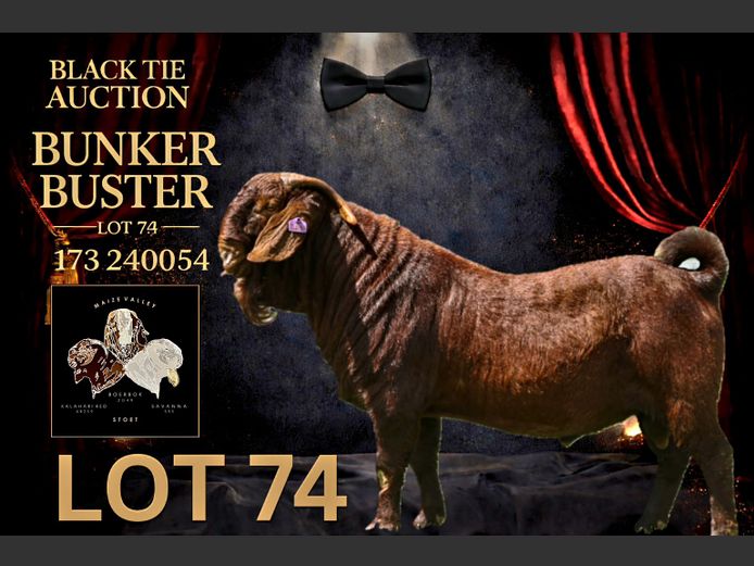 173240054 | Maize Valley Kalahari red stoet