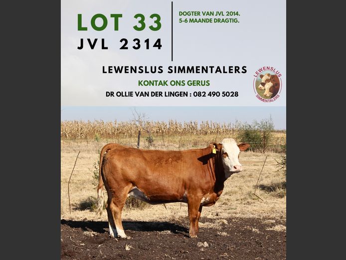 JVL2314 | DR JSH VAN DER LINGEN