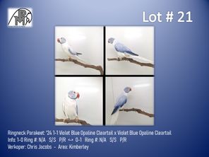 images