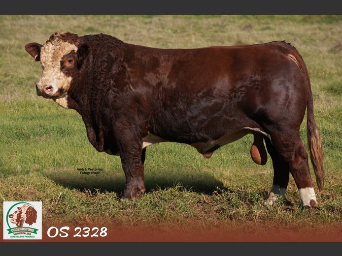 OS2328 | OGGENDSTOND BOERDERY CC