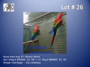 images