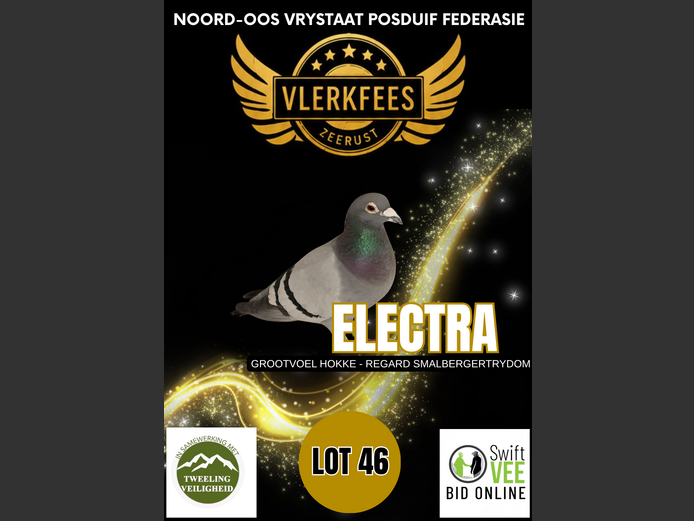 ELECTRA | GROOTVOEL HOKKE - REGARD SMALBERGER