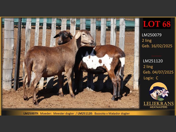 LM251120 | LELIEKRANS MEATMASTERS