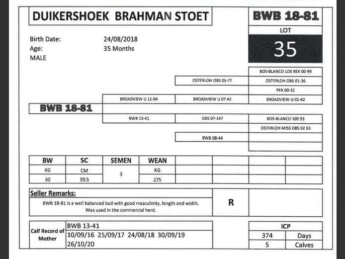 BWB 18-81