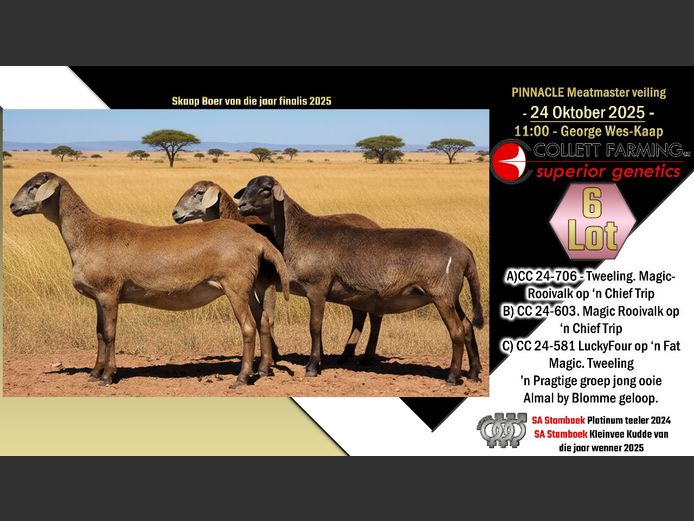 CC  240581 | COLLETT FARMING CC