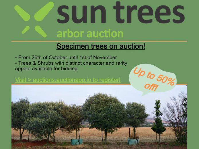 Arbor Auction