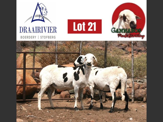 NS24-101 | Draairivier Boerdery