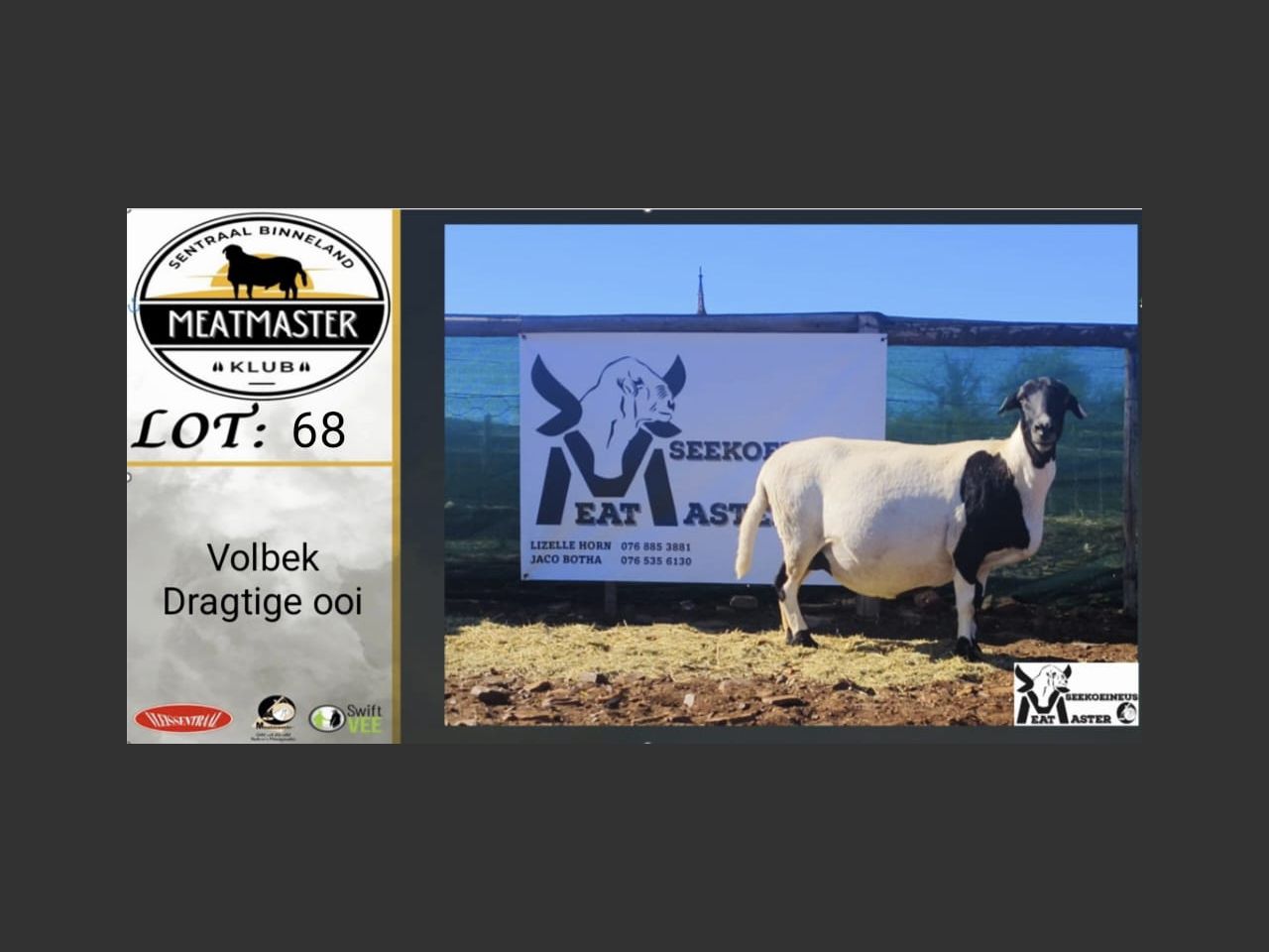 Lot 68 | SENTRALE BINNELAND MEATMASTER KLUBVEILING | SwiftVEE ...