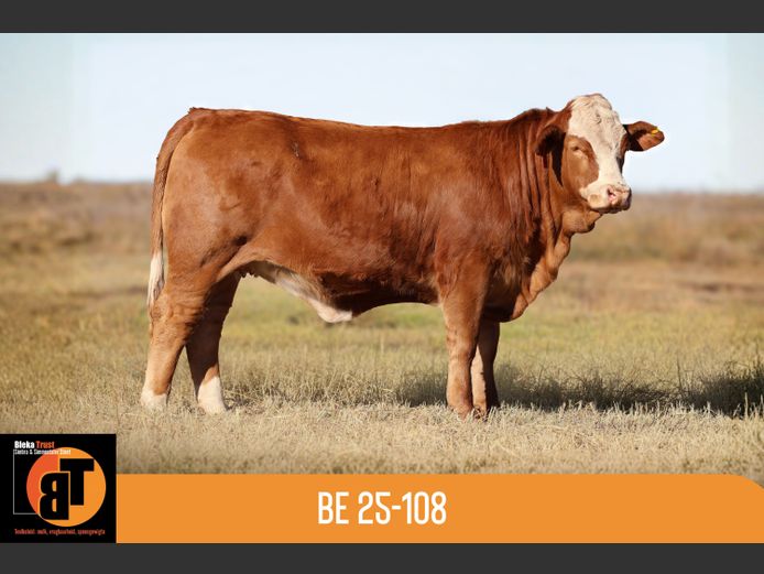 BE25108 | BLEKA TRUST