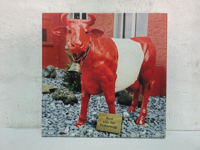 Resi von der Felsenegg Red Cow Printed Canvas Art Print