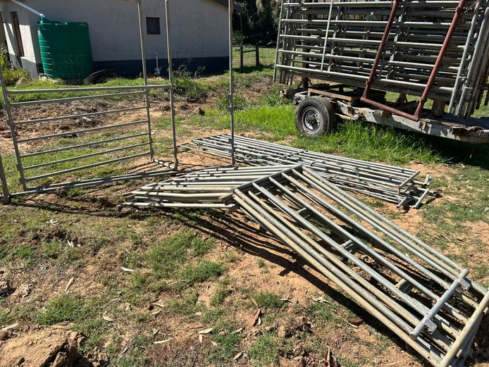 Ronde skaap uitkeerkraal